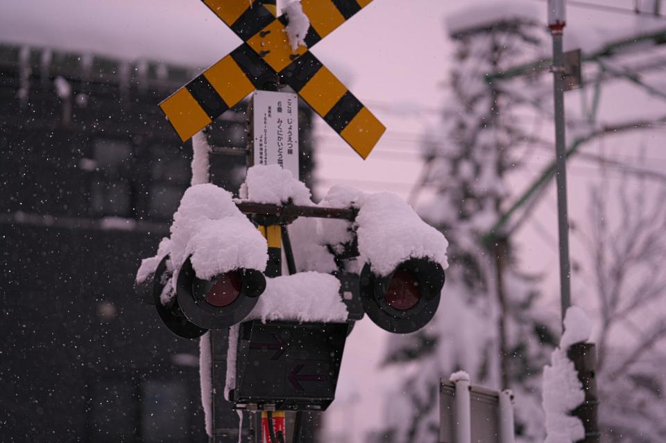 雪、積もる